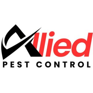 Pest Control Services in Dubai
