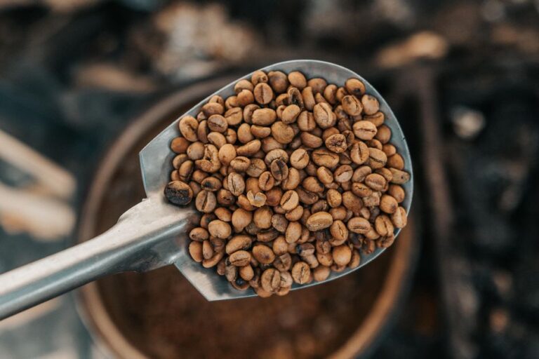 Roasted coffee beans