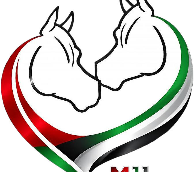 M11 Equestrian Club – Horse Riding in Dubai