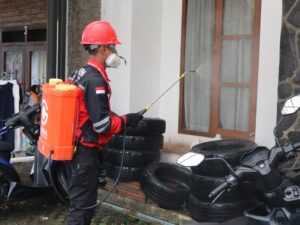 Pest Control