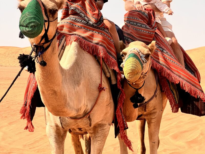 Khat Tourism LLC