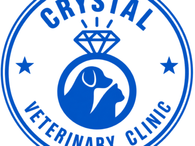 Veterinary Clinic in Abu Dhabi