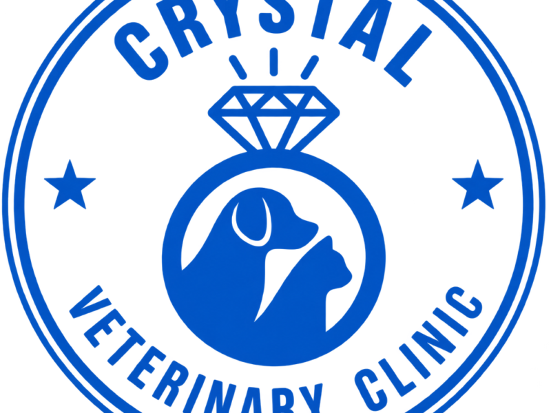 Veterinary Clinic in Abu Dhabi