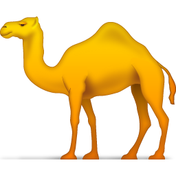 Abu Dhabi City Tour